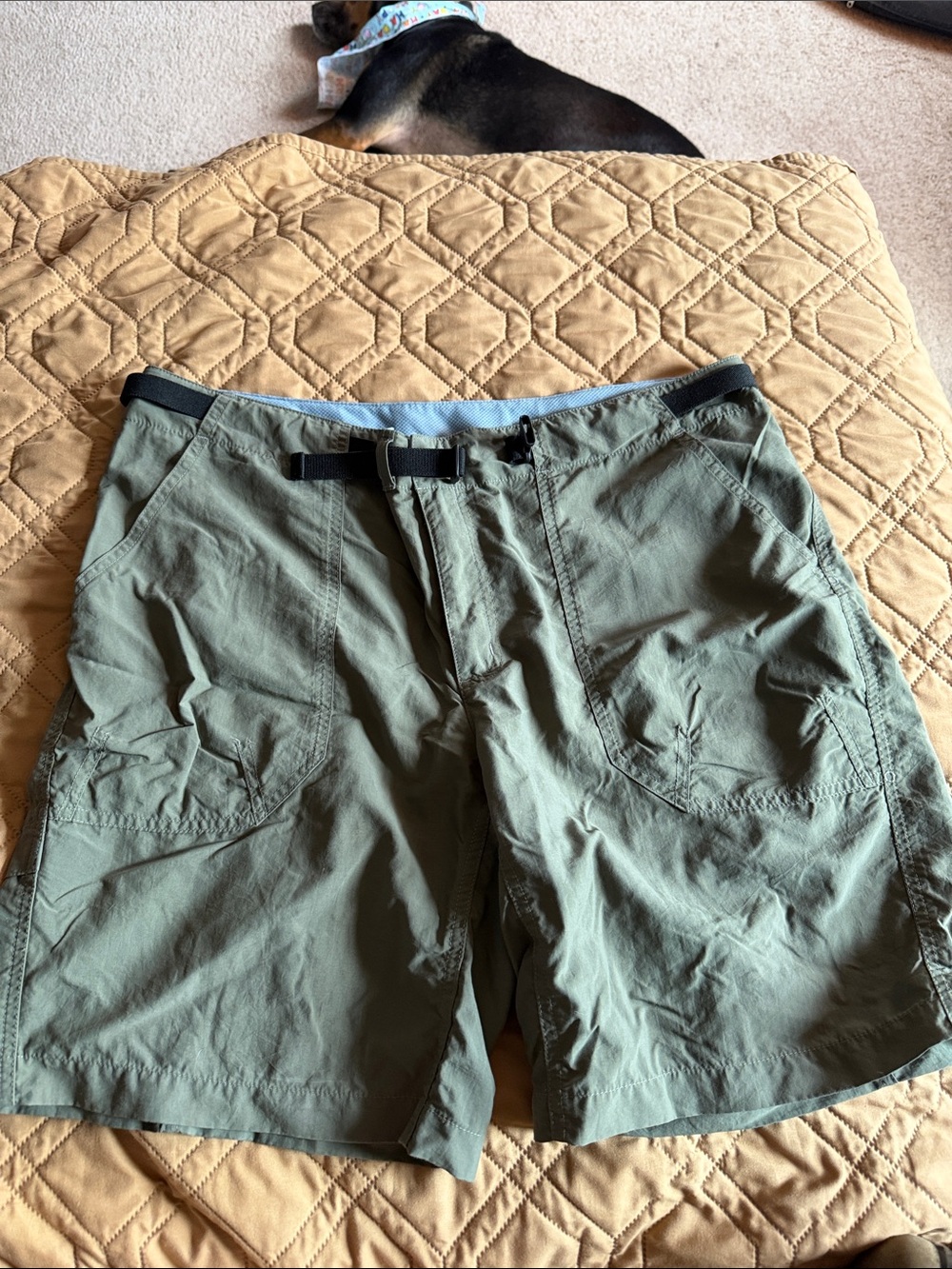 Patagonia Olive Green women’s Hybrid Outdoor Shorts with Built-In Belt